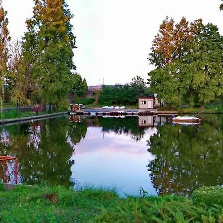 Friend's House